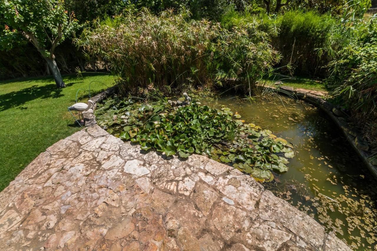 Quinta Das Portelas Διαμέρισμα Λάγος Εξωτερικό φωτογραφία
